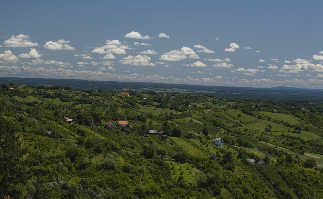 Četvrto studijsko putovanje u sklopu EU projekta WINE, ovoga puta u Jastrebarskom