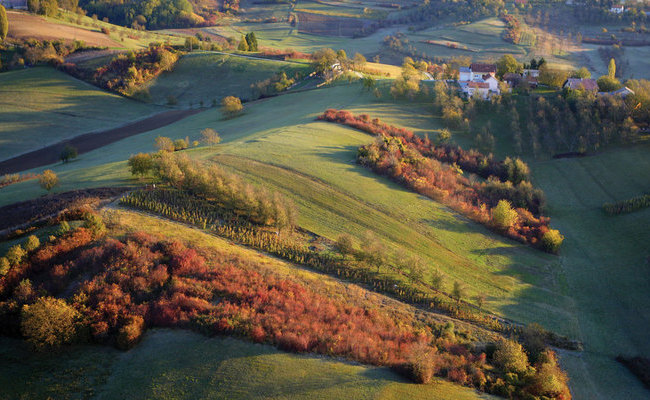 Obavijest članovima TZG Jastrebarskog o osnivanju nove Skupštine