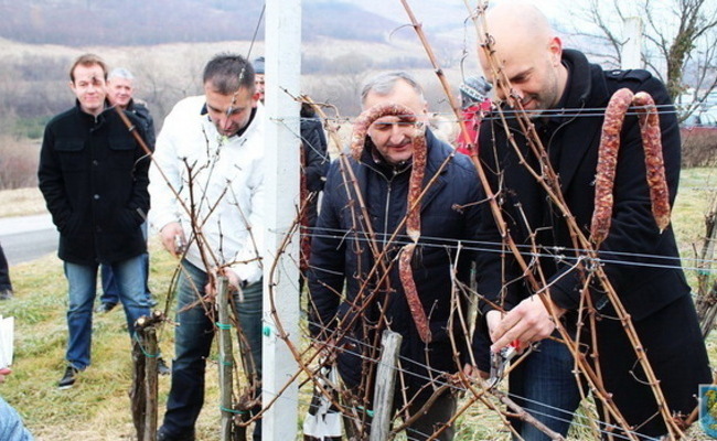 Vincekovo u jaskanskom kraju