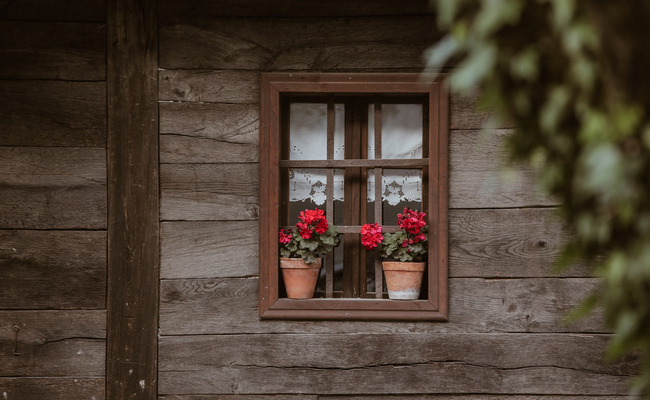 Biraju se najbolje ruralne fotografije u 2024. godini