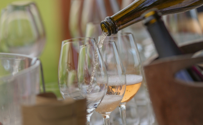 Plešivica ponovno zablistala, vinari dominiraju listom najboljih hrvatskih vina