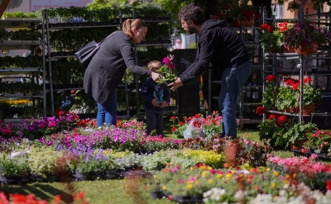 Pred nama je Cvjetna Jaska
