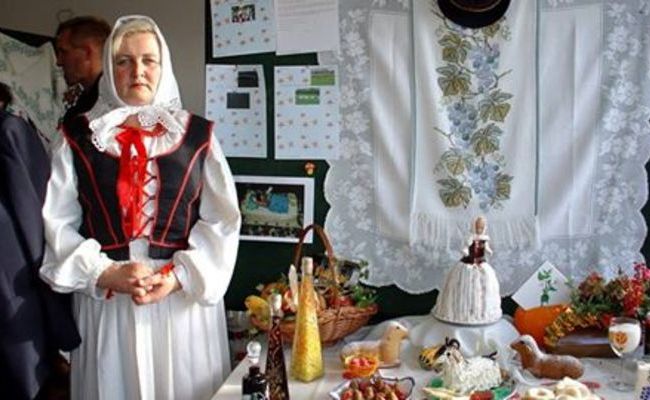 Postani Najuzornija seoska žena Zagrebačke županije za 2015.