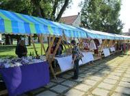 Održane manifestacije Ljeto u Jaski 2015 i Jaskanski vinski treking