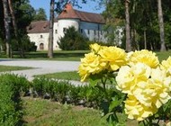 Poziv za izlagače - Cvjetna Jaska