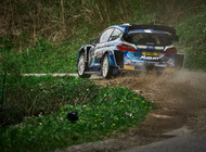 Croatia Rally svaki dan uživo pratite na HRT-u, Arena Sportu i WRC+