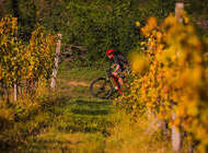 Mtb Kamp // Matija Kvasina&Biker
