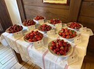 Znate li koja je sorta jagoda najukusnija?