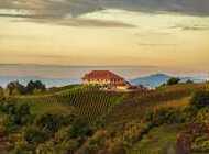 PLEŠIVICA PONOVNO NA DECANTEROVOJ LISTI