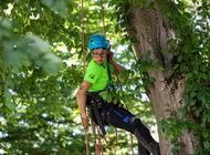  Po prvi put u Hrvatskoj u Jastrebarskom je započelo Europsko natjecanje arborista penjača