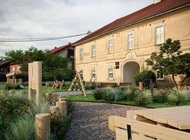 Novo zeleno ruho Cvetkovića