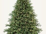 Poklonite jelu ili smreku za blagdansko uređenje grada Jastrebarskog 