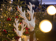 JAVNI POZIV za zakup montažnih objekata na manifestaciji „Winter Jaska“