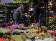 Pred nama je Cvjetna Jaska