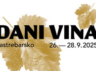 DANI VINA 2025
