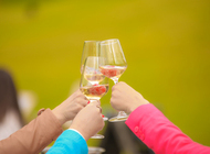 Festival pjenušaca & jagoda 