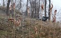 Vincekovo u Bresnici 