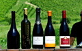   Održan 3. Pjenušavi plešivički doručak u vinariji Braje 